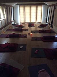 apanaveda Yoga Class Workshop little baddow Billericay Braintree Chelmsford Essex