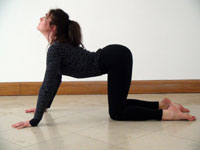 Cat Pose Yoga Position - Shiva Yoga Essex