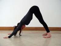 dog pose Yoga Position - Shiva Yoga Essex