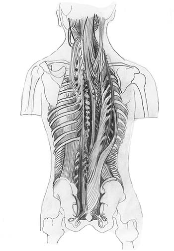 yoga techniques postitions in Bishops Stortford